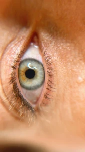 WhatsApp Image 2026-03-06 at 09.56.46